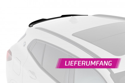 Heckflügel mit ABE für BMW X2 F39 HF847-L