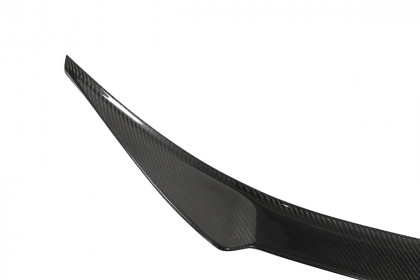 Lotka Lip Spoiler - LEXUS RC 2016+
 Carbon