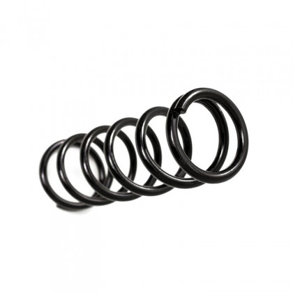 Front coil springs BDS Pro-Ride Lift 2"