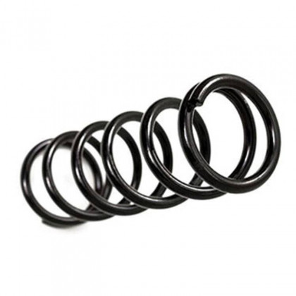 Rear coil springs BDS Pro-Ride Lift 2"